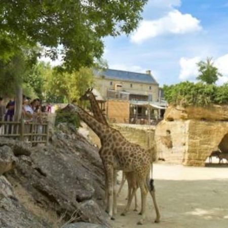 Maison 2-3 Pers Semi-Troglodyte Angers-Saumur ルレス＝ロシュムニエ エクステリア 写真