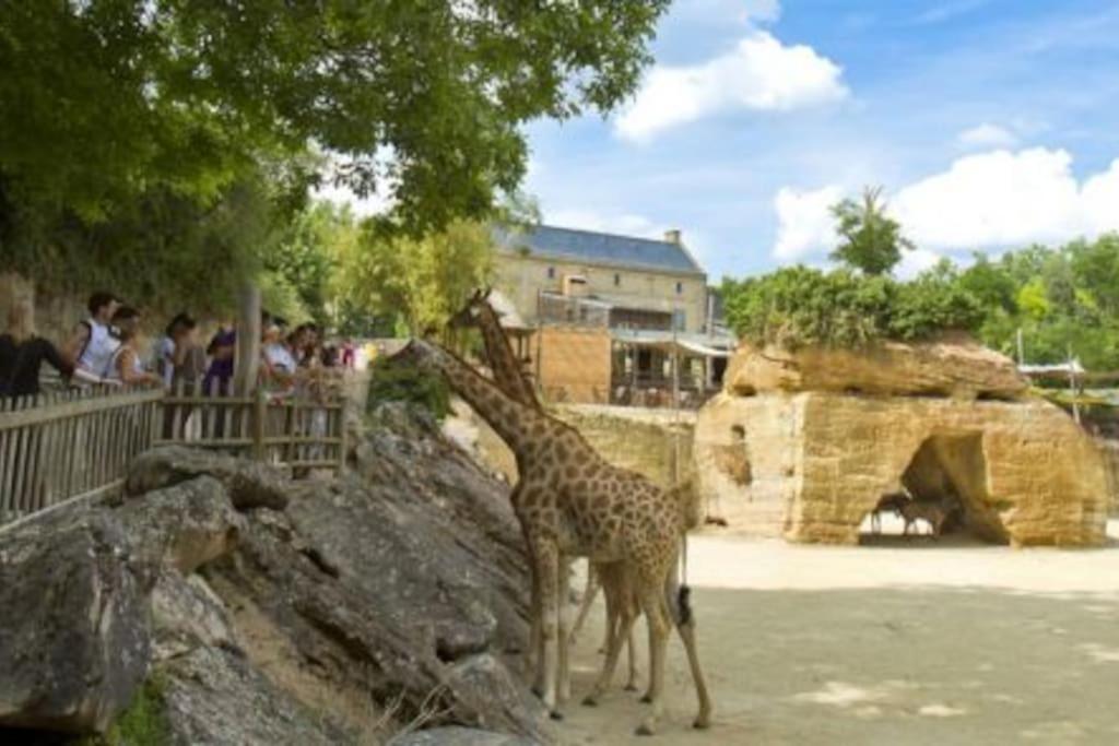 Maison 2-3 Pers Semi-Troglodyte Angers-Saumur ルレス＝ロシュムニエ エクステリア 写真